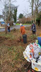 Still clearing brambles 